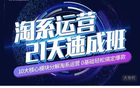 白凤电商-淘系运营21天速成班