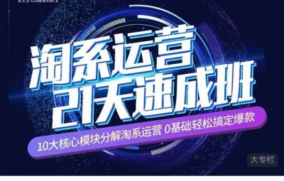 白凤电商-淘系运营21天速成班