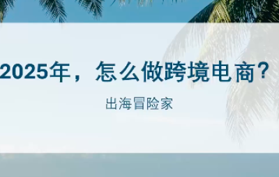出海冒险家 社媒+独立站 实战案例教学