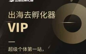出海去孵化器·一人出海实战课