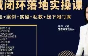 C姐-双域闭环落地实操课