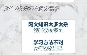 网文一条哥精品写作课