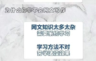 网文一条哥精品写作课