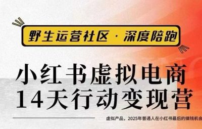 野生运营社区-小红书虚拟电商14天变现训练营