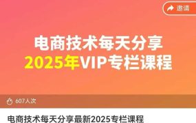 电商技术分享2025专栏课