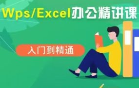 夏老师·WPS Excel办公（精讲课）