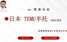 跨境刘叔TEMU半拖基础课