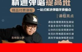 吉他张小胖 精通弹唱提高班
