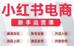 小红书电商新手运营实战课