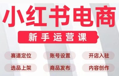 小红书电商新手运营实战课