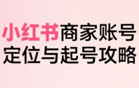 大晴老师·小红书电商全链路实战从定位到爆单