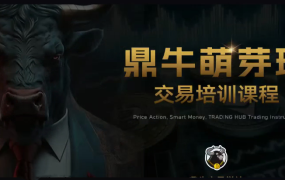 鼎牛交易学社 鼎牛萌芽班 Beginner Class交易培训课程Trading Hub 价格行为