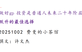 费曼的小茶馆251002付费文：做好股票投资是普通人未来二十年阶层跃升的最佳选择