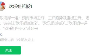 【欢乐姐抓板】超短打板技法圈内体系课件 11文档