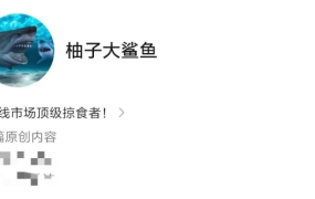柚子大鲨鱼炒股直播课程