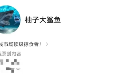 柚子大鲨鱼炒股直播课程