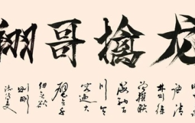 【翔哥擒龙】逻辑为王训练营