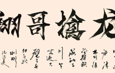 【翔哥擒龙】逻辑为王训练营