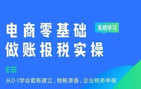 电商零基础做账报税实操
