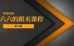 六六亚马逊跟卖实战课