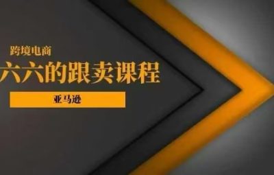 六六亚马逊跟卖实战课