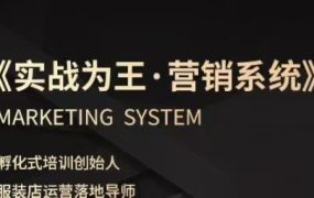 老杨·服装老板必修课《实战为王-营销系统》