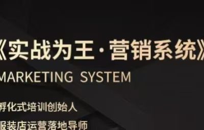 老杨·服装老板必修课《实战为王-营销系统》