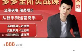 大炮·拼多多全阶实战课程