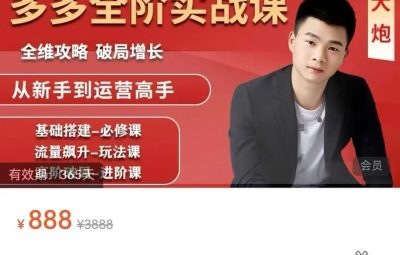 大炮·拼多多全阶实战课程