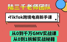 陆三千TikTok跨境电商新手课