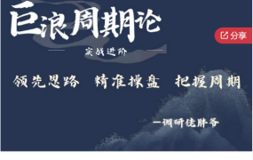 调研佬胖爷-巨浪周期论实战进阶