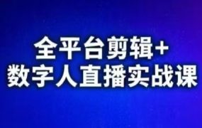视频号、快手、抖音全平台剪辑+数字人直播实战课