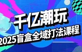 2025盲盒全域全套打法课