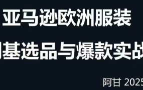 阿甘的跨境电商选品案例24-25年