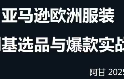 阿甘的跨境电商选品案例24-25年