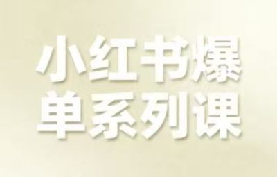 尼采老师-小红书爆单系列课
