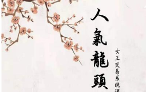 短线女王人气女王人气龙头基础视频课程