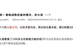 【安民付费文250901】-技术派1：复制成熟的盈利模式，抄大底