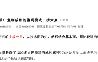 【安民付费文250901】-技术派1：复制成熟的盈利模式，抄大底