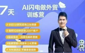 大卫–Ai闪电做外贸超级训练营