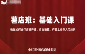 小红薯薯店商城卖货-基础入门课