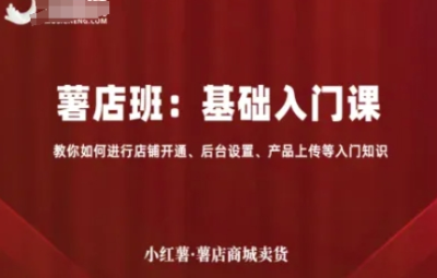 小红薯薯店商城卖货-基础入门课