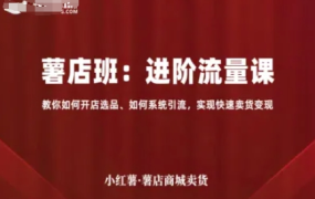 小红薯薯店商城卖货-进阶流量课