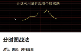 风行股海-分时图战法