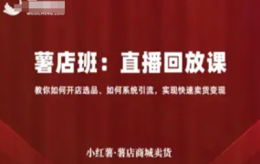 小红薯薯店商城卖货直播回放课
