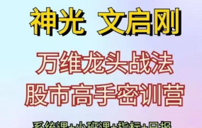 神光文启刚 万维龙头战法股市高手密训营系统课+小班课+日报+指标