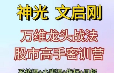 神光文启刚 万维龙头战法股市高手密训营系统课+小班课+日报+指标