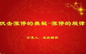量学云讲堂龙头骑兵单晓禹07期