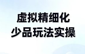力辛电商-虚拟精细化少品玩法实操