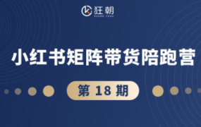 盗坤·抖音小红书视频号短视频带货与直播变现（11-18期）